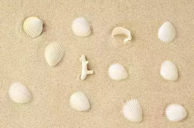 没有捡肥皂这茬，古人都捡什么呢？