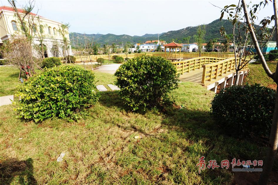 青岛39中市属学校怎么样,青岛39中新校区