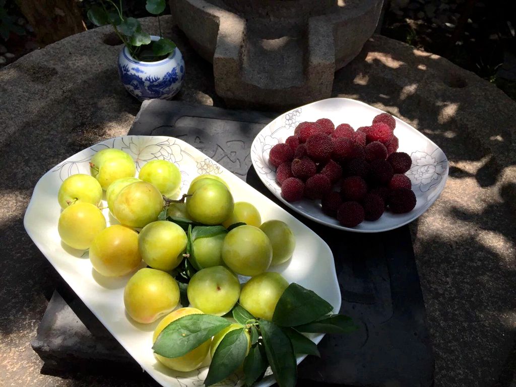 绿荫幽草胜花时的图片,绿荫幽草胜花香的前一句