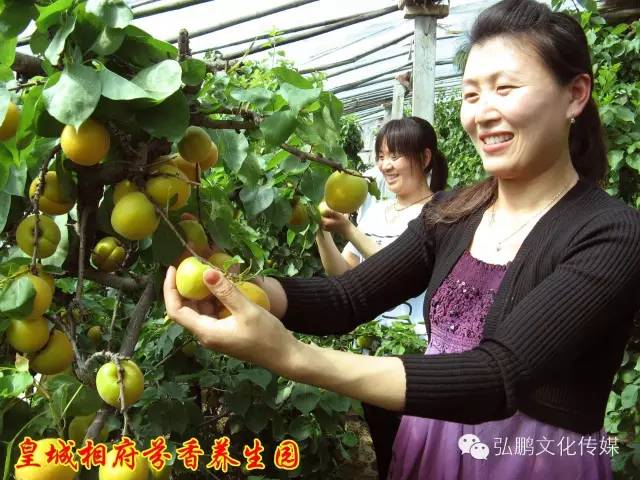 探皇城秘史河南车友千人自驾梦幻之旅