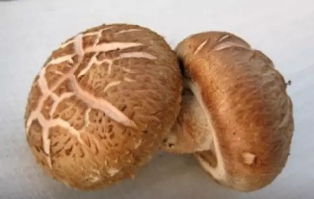 香菇和花菇价钱,鲜香菇价钱