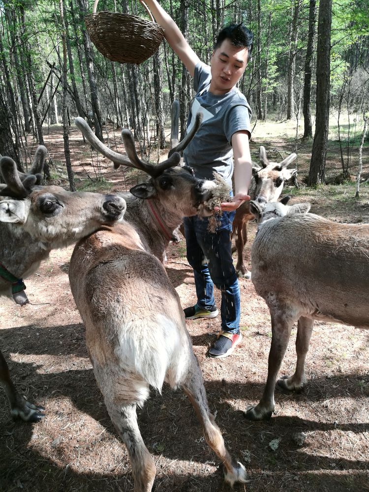 记忆深处的呼伦贝尔,记录呼伦贝尔美好时光