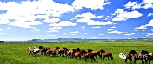 草原文商之旅--东归传