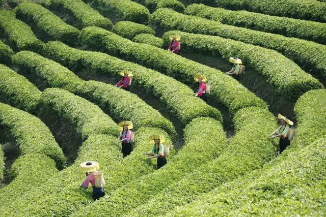 广东5a级景区免费开放,哪里的五a景区免门票