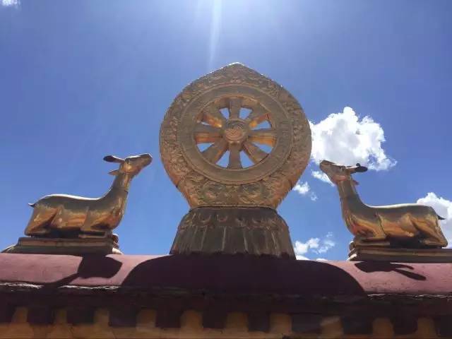 日照有什么好玩的地方,日照金山