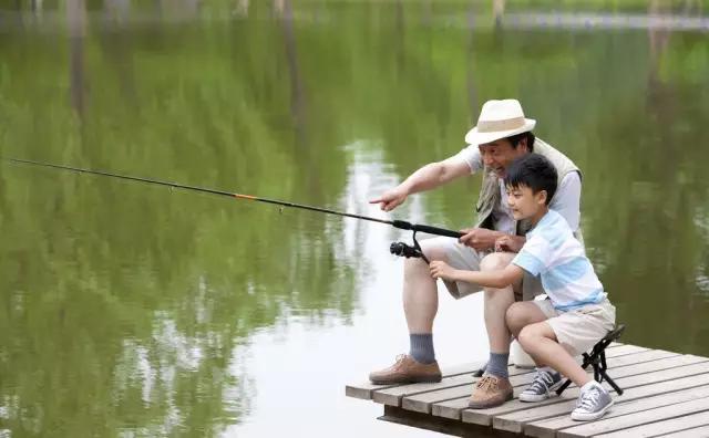 迎接父亲节：紫溪半岛的2000株紫薇花竞相绽放！限时免费欣赏