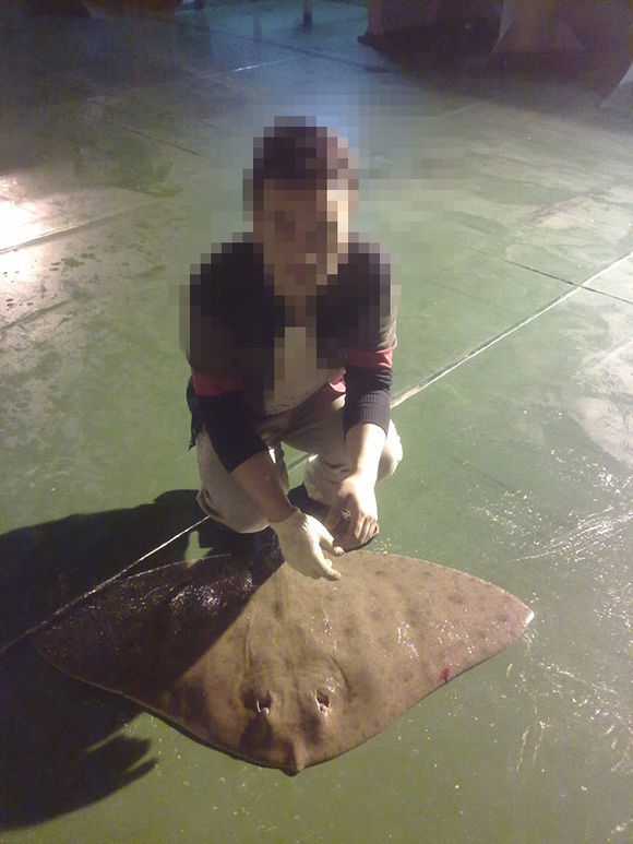 我是远洋渔民，爱钓鱼，更爱周游世界