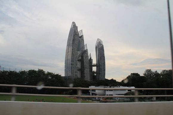 我是远洋渔民，爱钓鱼，更爱周游世界