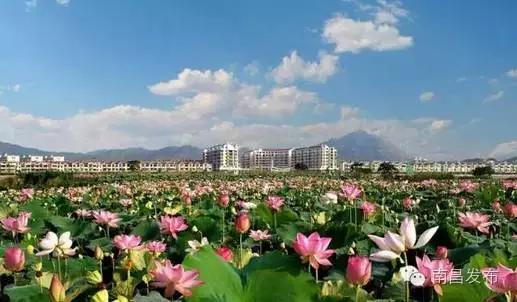 6月去江西旅游必去十大景点,八月江西旅游必去十大景点