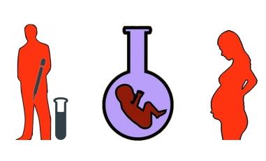 胚胎植入前遗传学诊断技术,胚胎植入前遗传学诊断方法