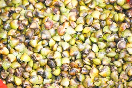 西江明珠石板沙生态岛,江门新会石板沙湿地公园