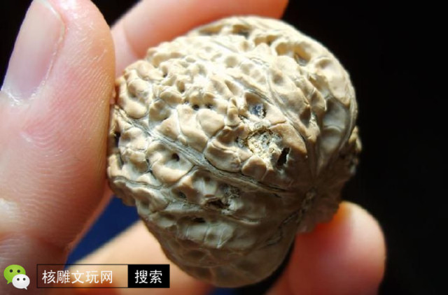 核桃有一个特别小的虫眼怎么办,核桃坏了怎么修补