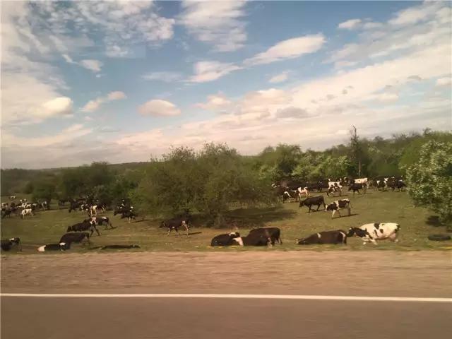 我在贝加尔湖旅行,贝加尔湖去玩