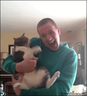 猫咪的行为翻译,猫咪的行为心理学