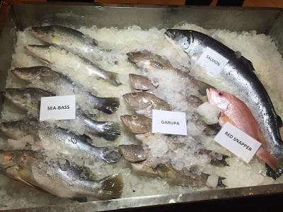 带你走进神秘中东,去孟加拉国旅游真实感受