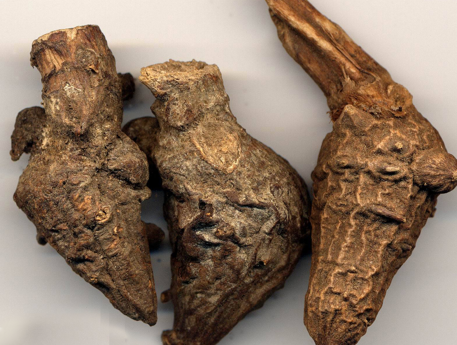 大学生服用云南白药死亡，谁之过？