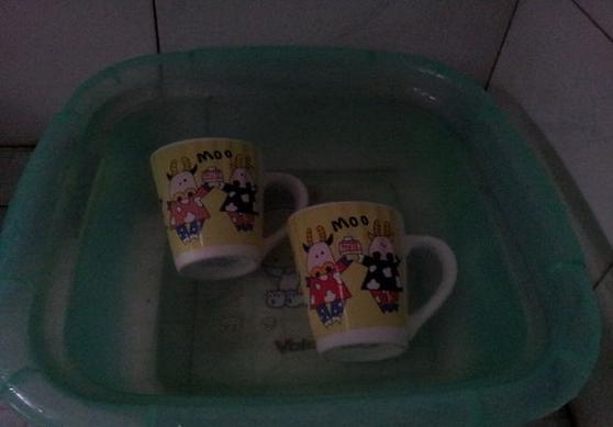 用超小的花盆种肉,自己做多肉花盆的方法