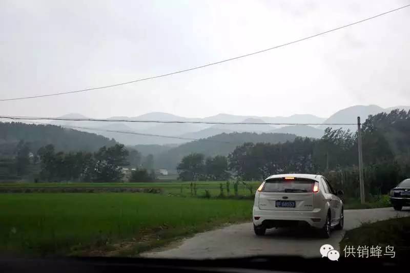 体验夏天农家生活,襄阳值得去的乡村