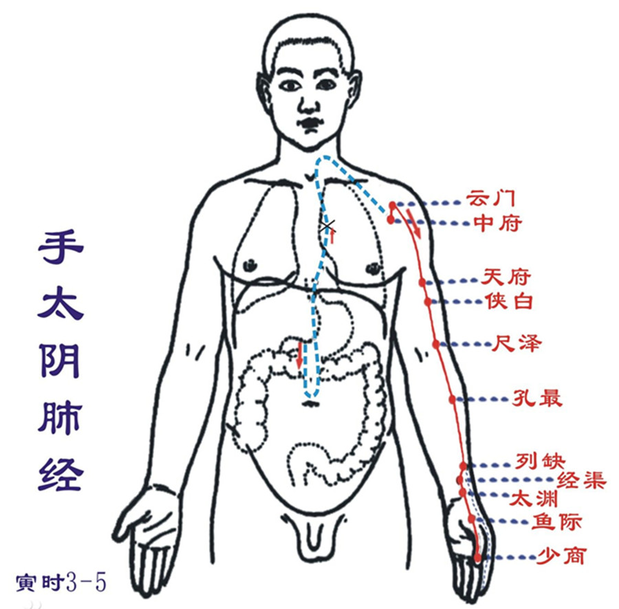 肺经堵塞肩膀会痛,刮肺经完了大拇指不舒服