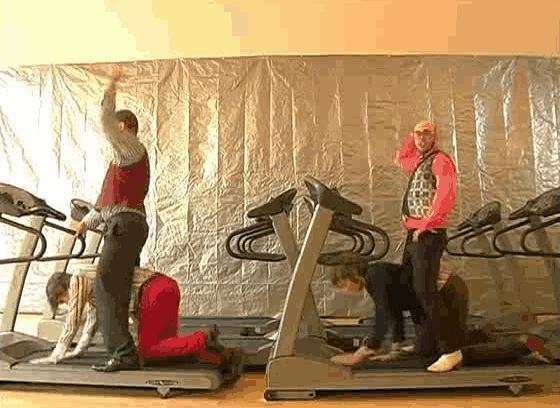 还好有OKGO治好我的性冷淡（跪着看完）……