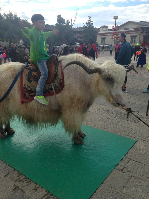 暑假云南旅游攻略8天,海南暑期云南旅游费用