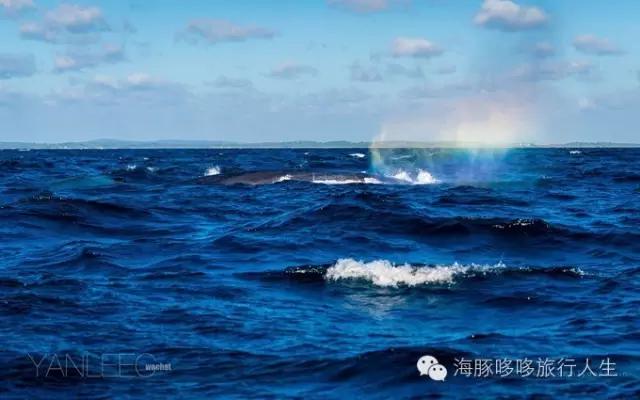 原来星球上还有这样的地方——哆哆的自然地理课！