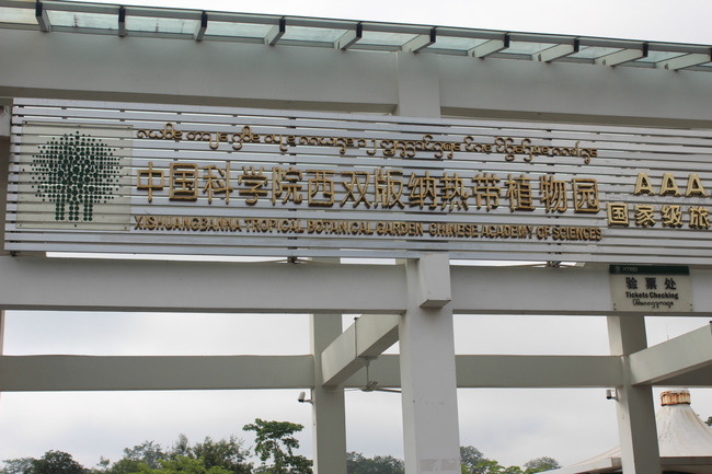 暑假云南旅游攻略8天,海南暑期云南旅游费用