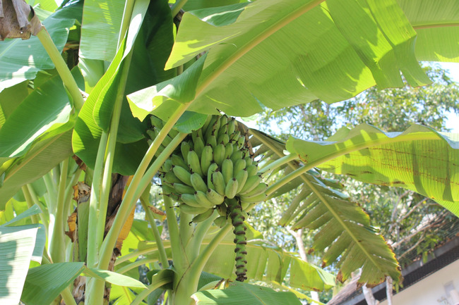 暑假云南旅游攻略8天,海南暑期云南旅游费用