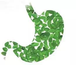 胃不好瘦了要怎么控制,胃大如何快速瘦胃