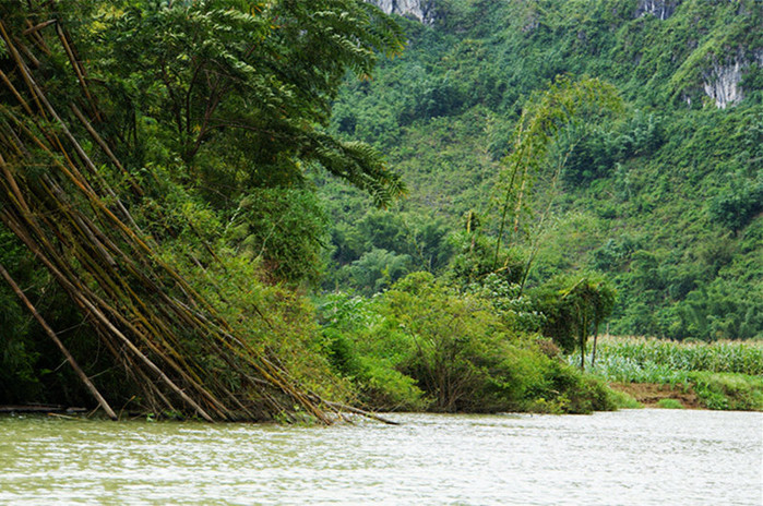 巴马世界旅居圣地,广西巴马长寿圣殿图片