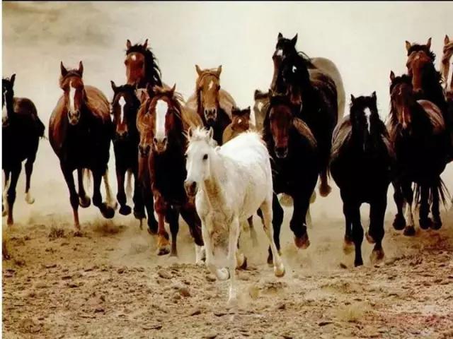 全球独一无二的车,全国独一无二的宝马轿车