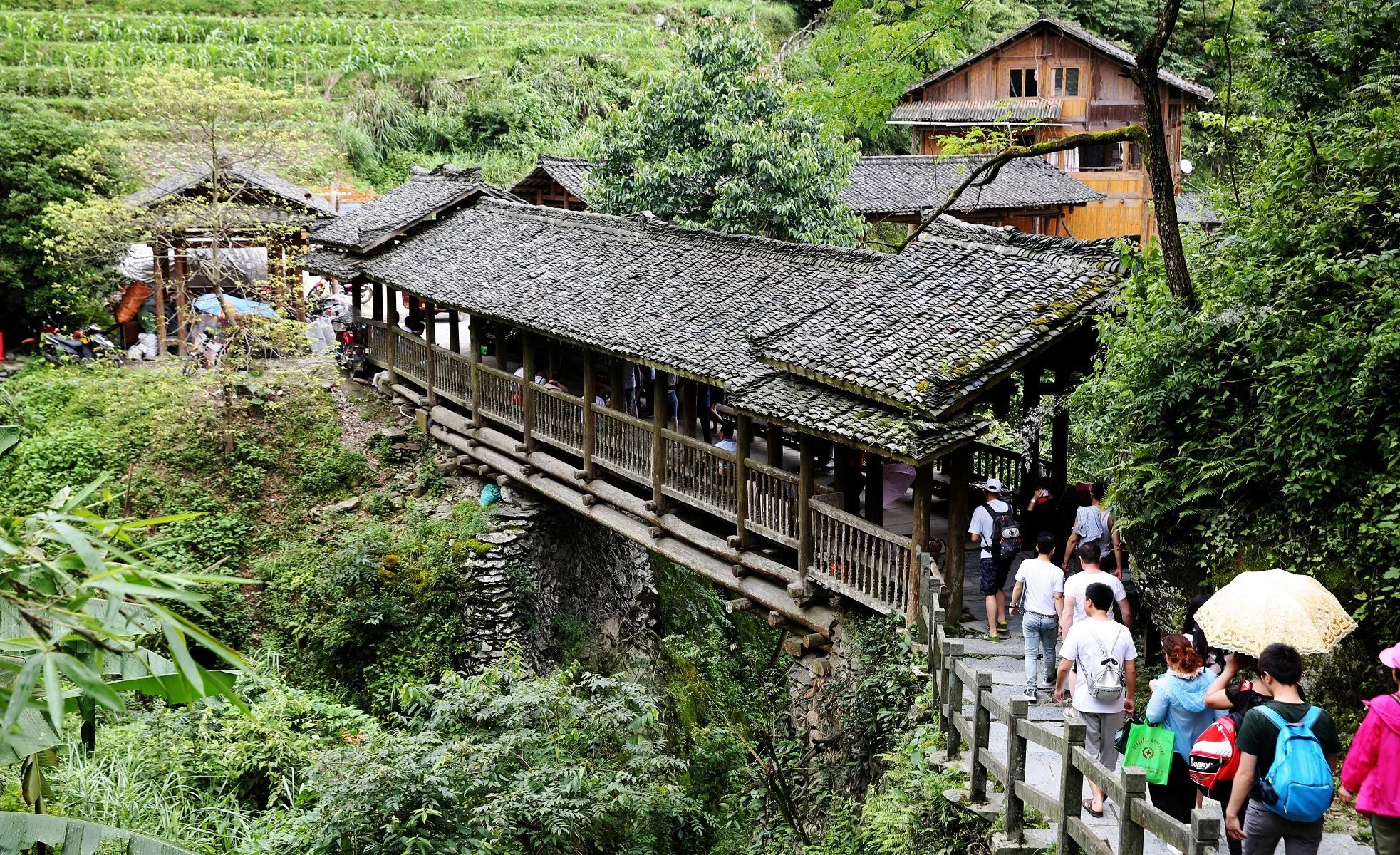 长发村红瑶淘米水洗发水直播,天下第一长发村用什么洗头发