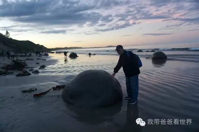新西兰摩拉基大圆石的形成原因,新西兰圆石图片