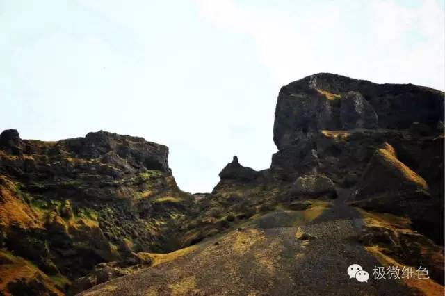 我在冰岛，带回一截漂亮的枯木