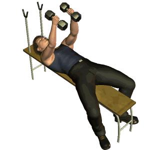 在家哑铃锻炼胸肌最有效的动作,哑铃练胸肌会练到腹肌吗