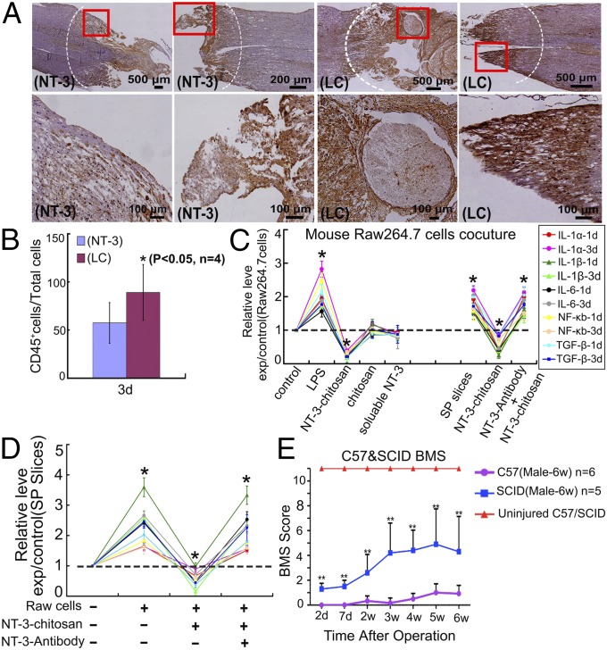 神经再生研究新突破,神经再生研究成果视频