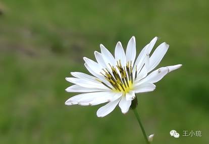 华为g9青春版区别,华为g9青春版介绍