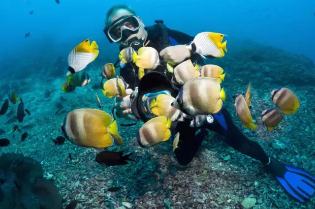 有生之年一定要去一次泰国,有生之年一定要去一次的景区