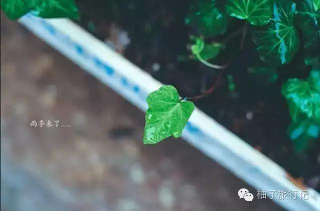 什么季节适合去丽江旅游,丽江旅游攻略必备清单