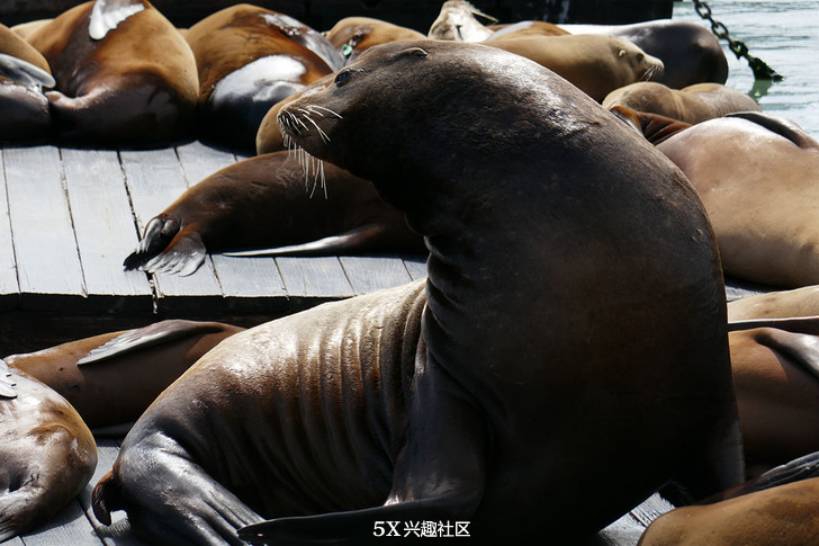 联想techworld2024,联想techworld深度解析