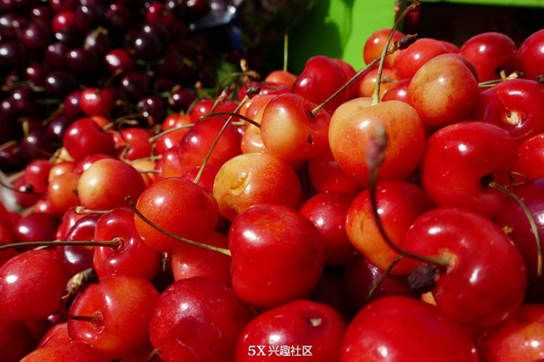 联想techworld2024,联想techworld深度解析