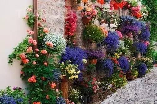 小镇艺术|印象派系的吉维尼,莫奈的“睡莲”花园