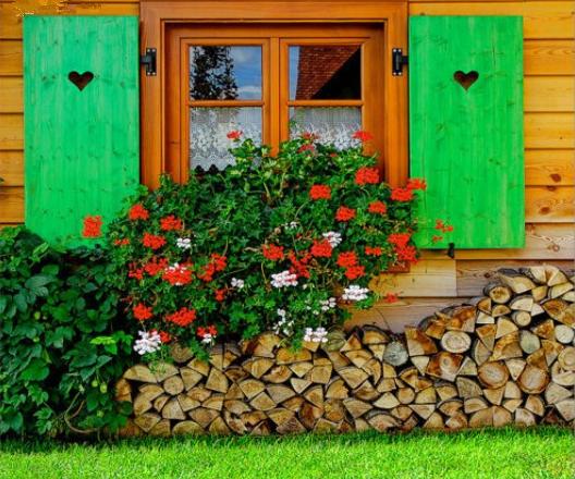 小镇艺术|印象派系的吉维尼,莫奈的“睡莲”花园