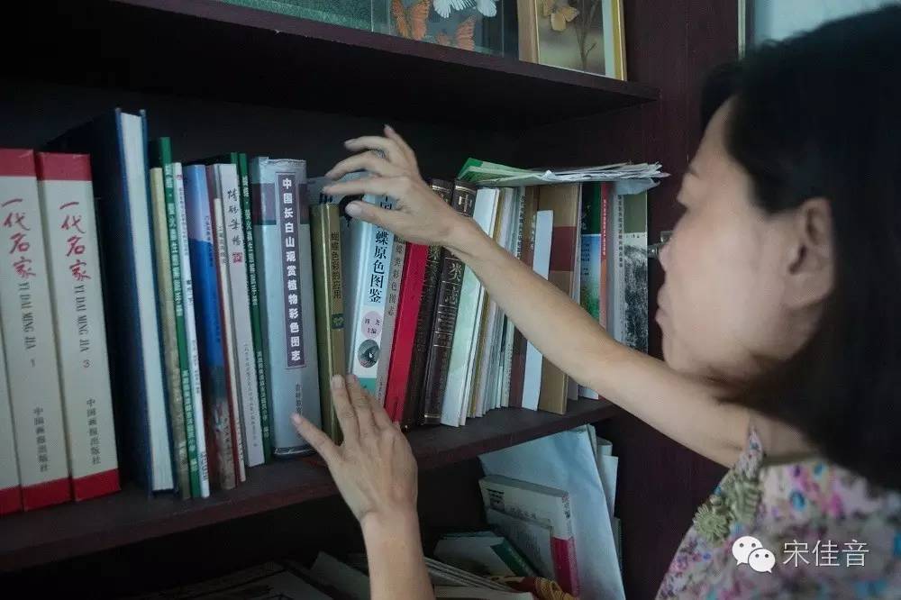 死的蝴蝶怎么让它复活,死的蝴蝶要怎么样活过来