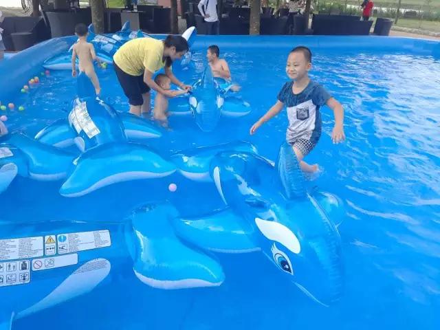 迎接父亲节：紫溪半岛的2000株紫薇花竞相绽放！限时免费欣赏