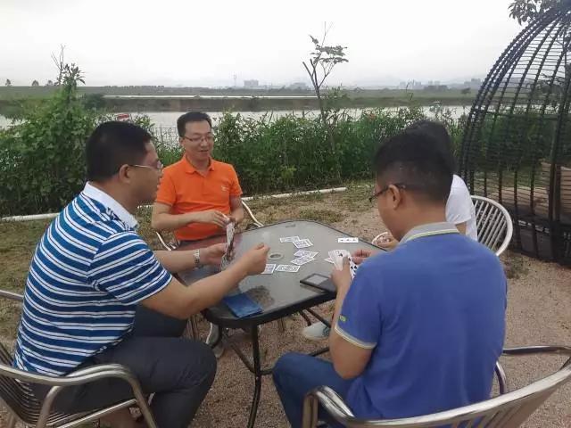 迎接父亲节：紫溪半岛的2000株紫薇花竞相绽放！限时免费欣赏