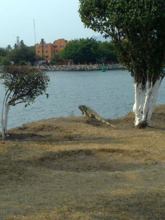 我是远洋渔民，爱钓鱼，更爱周游世界