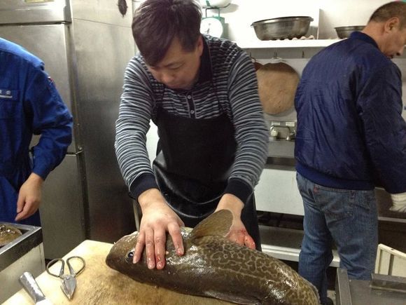 我是远洋渔民，爱钓鱼，更爱周游世界