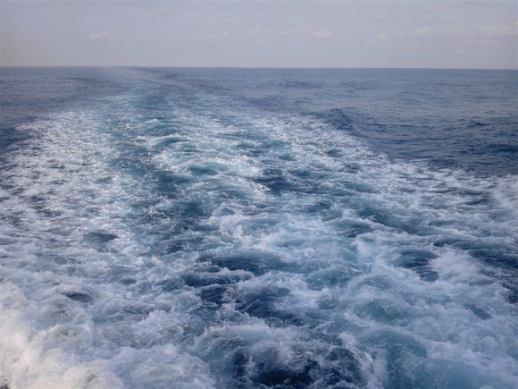 我是远洋渔民，爱钓鱼，更爱周游世界