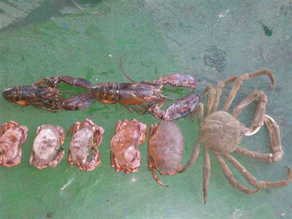 我是远洋渔民，爱钓鱼，更爱周游世界